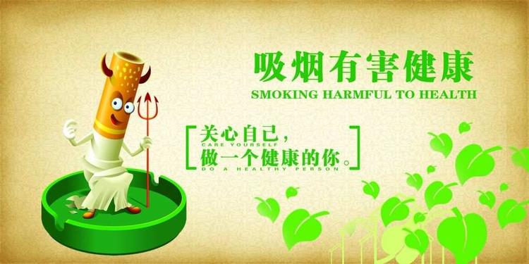 正品香烟网