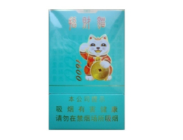 国外烟草终端建设